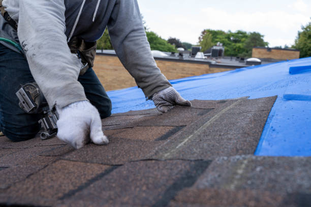Best Local Roofing Companies  in Warner, OK