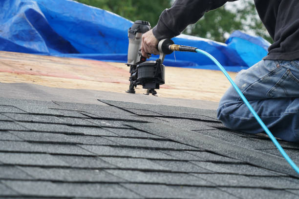 Best Roof Maintenance Services  in Warner, OK
