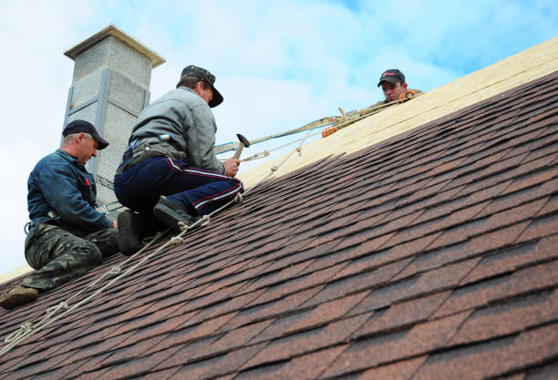 Best New Roof Installation  in Warner, OK